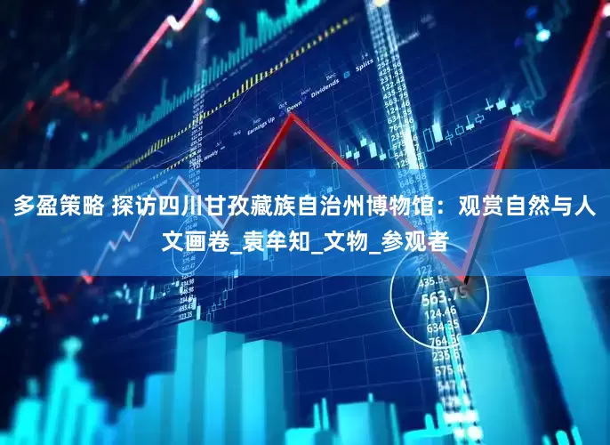 多盈策略 探访四川甘孜藏族自治州博物馆：观赏自然与人文画卷_袁牟知_文物_参观者